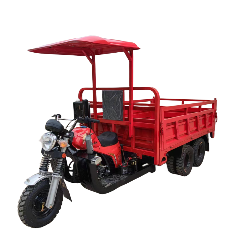 China Manufacturer Factory Trike Tuk Tuk Three Wheels 200cc 300cc Gasoline Price Cargo Tricycle Motorcycle