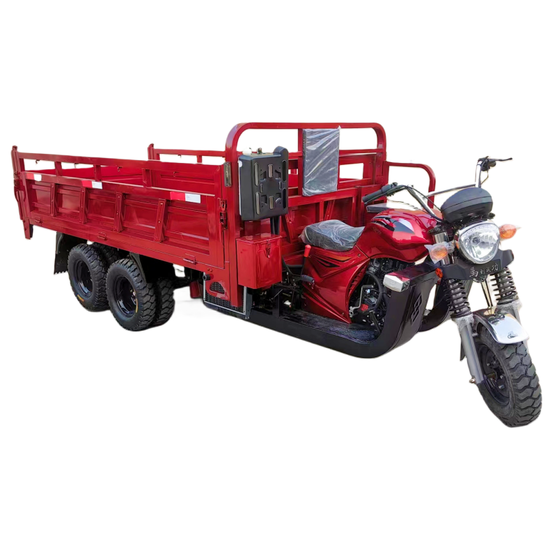 Low Price 350cc Dump Cargo Motor Tricycle Motorcycle Best Selling Three Wheel Motorcycle Yaoxunda