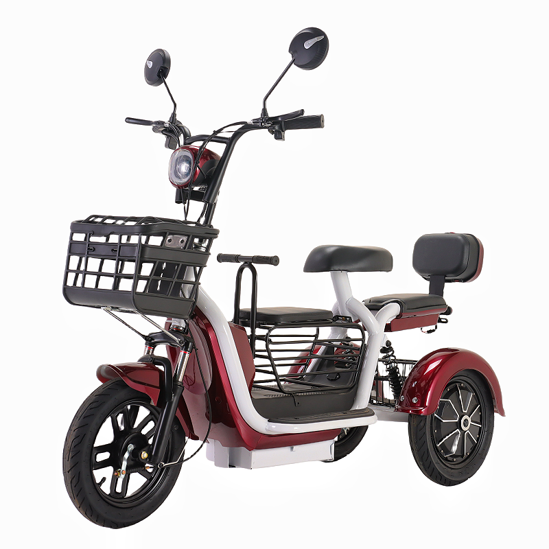 Solar Powered Electric Tricycle 48V 600W with Removable Battery Open Body Adult Tricycle from China