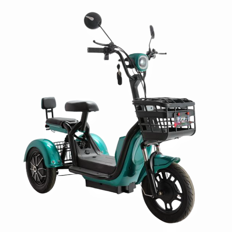 Solar Powered Electric Tricycle 48V 600W with Removable Battery Open Body Adult Tricycle from China