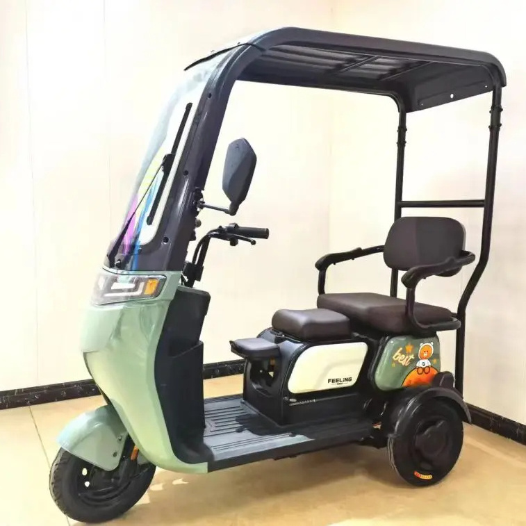 500W 3 Wheel Passenger Motorized Electric Tricycle With Roof EEC Certified