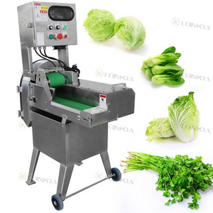 LONKIA Full SUS 304 industrial vegetable cabbage Lettuce Spinach Lemongrass parsley wide garlic chopper cutting machine