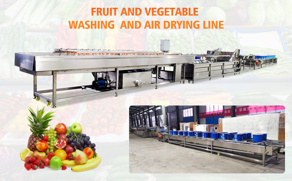 LONKIA Industrial Bubble Tomato Washing Line Drying Machine Corn Fruit Washer Vegetable Onion Washer Cleaning Machine