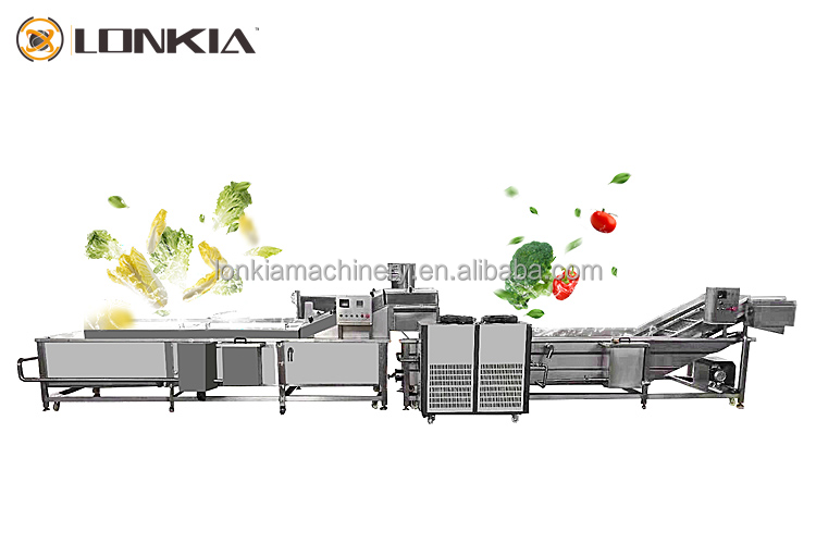 Fruits vegetables carrots coconutmeat mushroom blanching machine continuous almond blancher machine