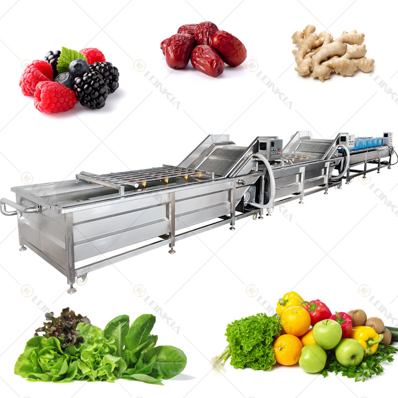 LONKIA Industrial Bubble Tomato Washing Line Drying Machine Corn Fruit Washer Vegetable Onion Washer Cleaning Machine