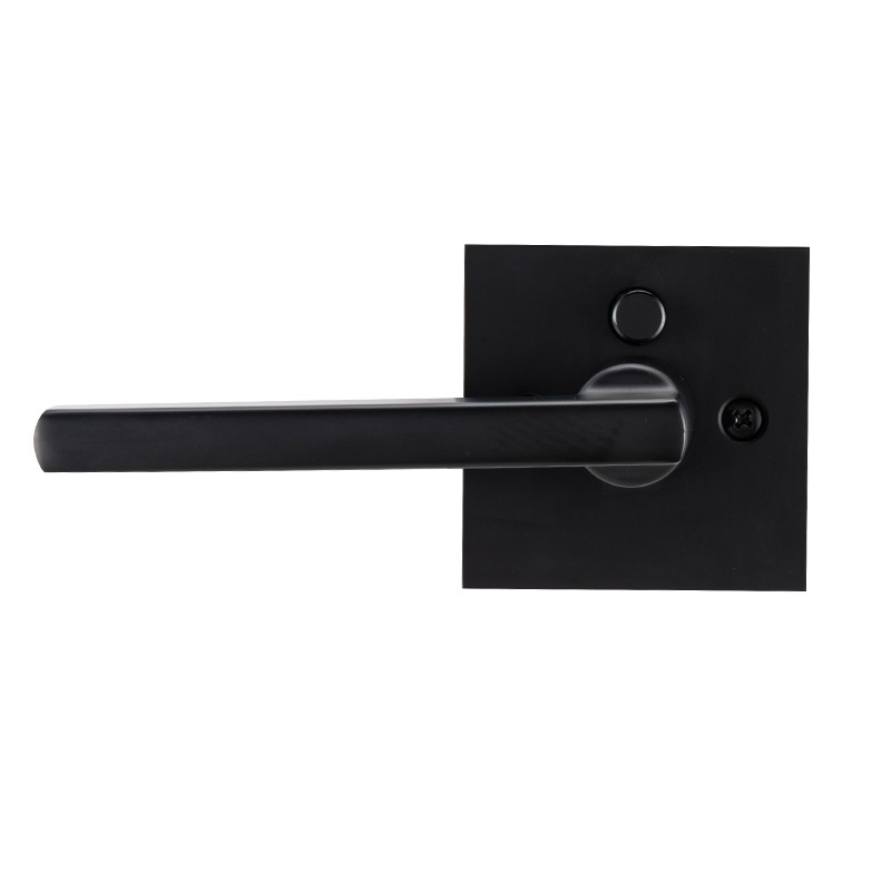 privacy modern big plate exterior wooden door black handle with button lock