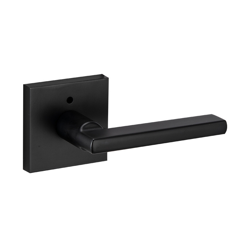 privacy modern big plate exterior wooden door black handle with button lock