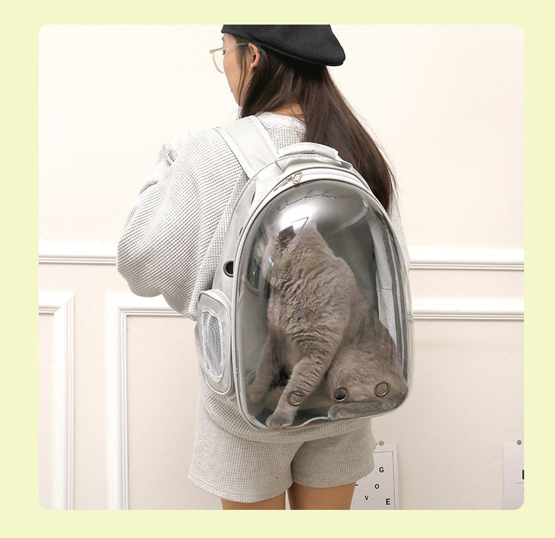 Best Seller Breathable Pet Dog Bag Go Out Lifelike Large Cat School Backpack Carrier