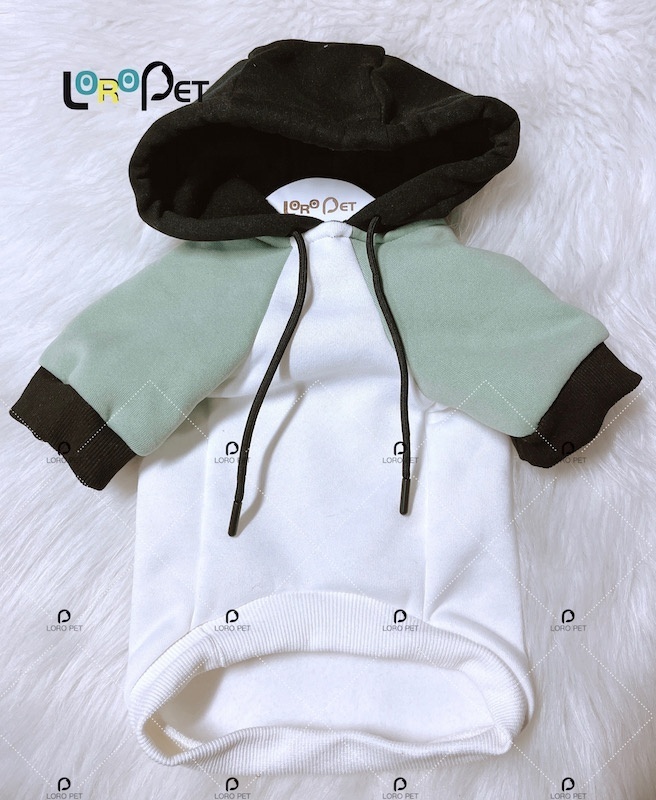 Custom Luxury Pet Clothes Color Block Sweatshirt Dog Hoodie and Owner Matching Human Hoodie with Drawstring