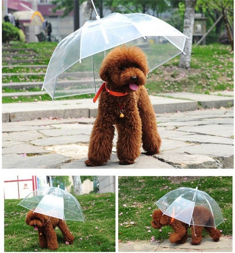 Pet Umbrellas paraplu Teddy Bear Dog Pet Rain Gear Lovely Pet Supplies Waterproof Cat Dog Umbrella