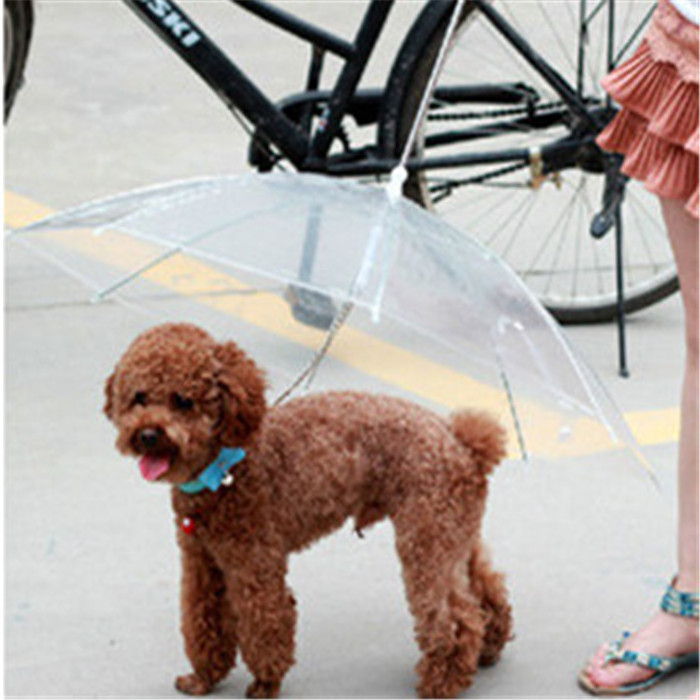 Pet Umbrellas paraplu Teddy Bear Dog Pet Rain Gear Lovely Pet Supplies Waterproof Cat Dog Umbrella