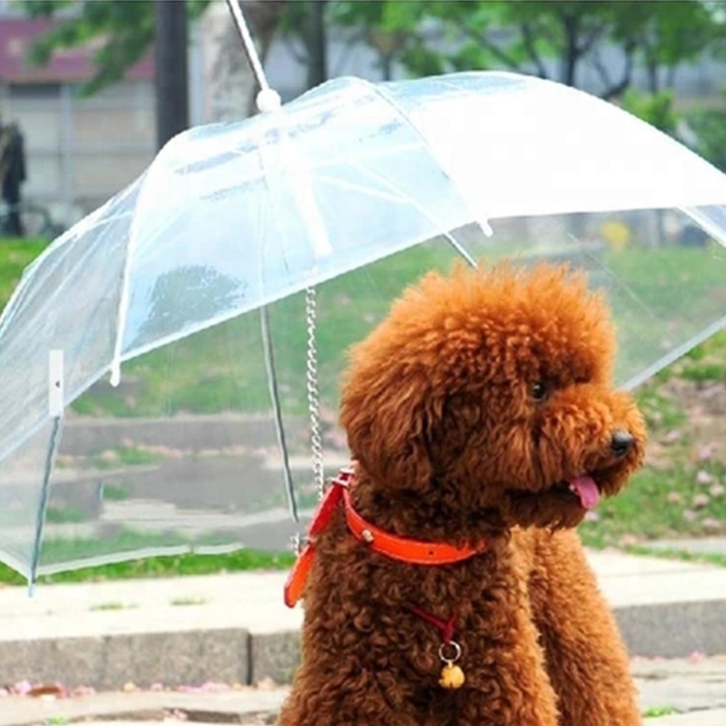 Outdoor Waterproof Transparent Clear Cheap Price Mini Cute Pet Dog Cat Umbrella With Chain