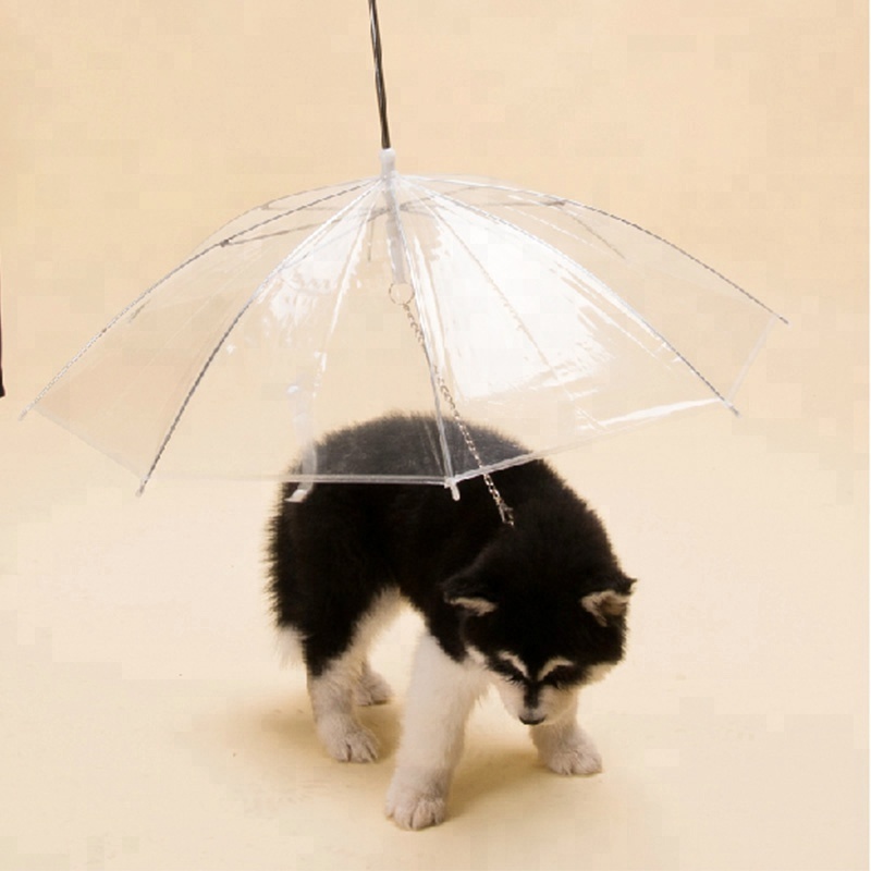 Outdoor Waterproof Transparent Clear Cheap Price Mini Cute Pet Dog Cat Umbrella With Chain