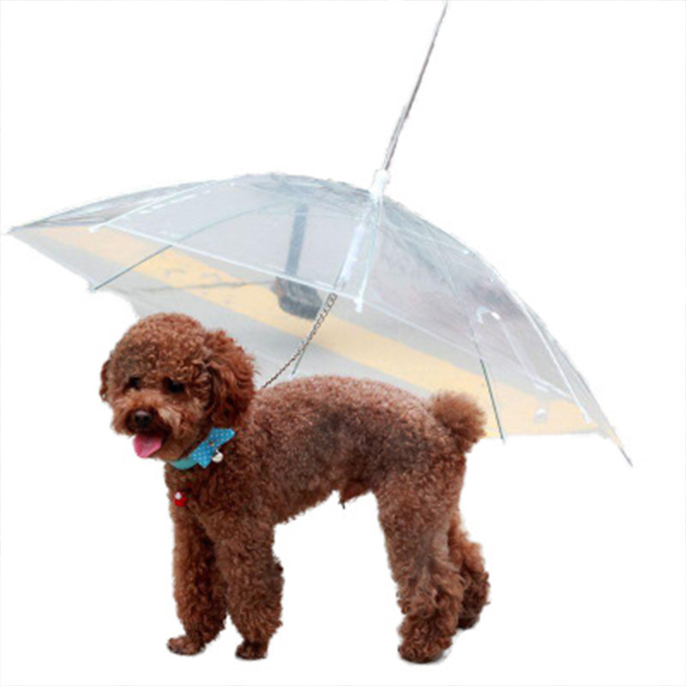 Outdoor Waterproof Transparent Clear Cheap Price Mini Cute Pet Dog Cat Umbrella With Chain