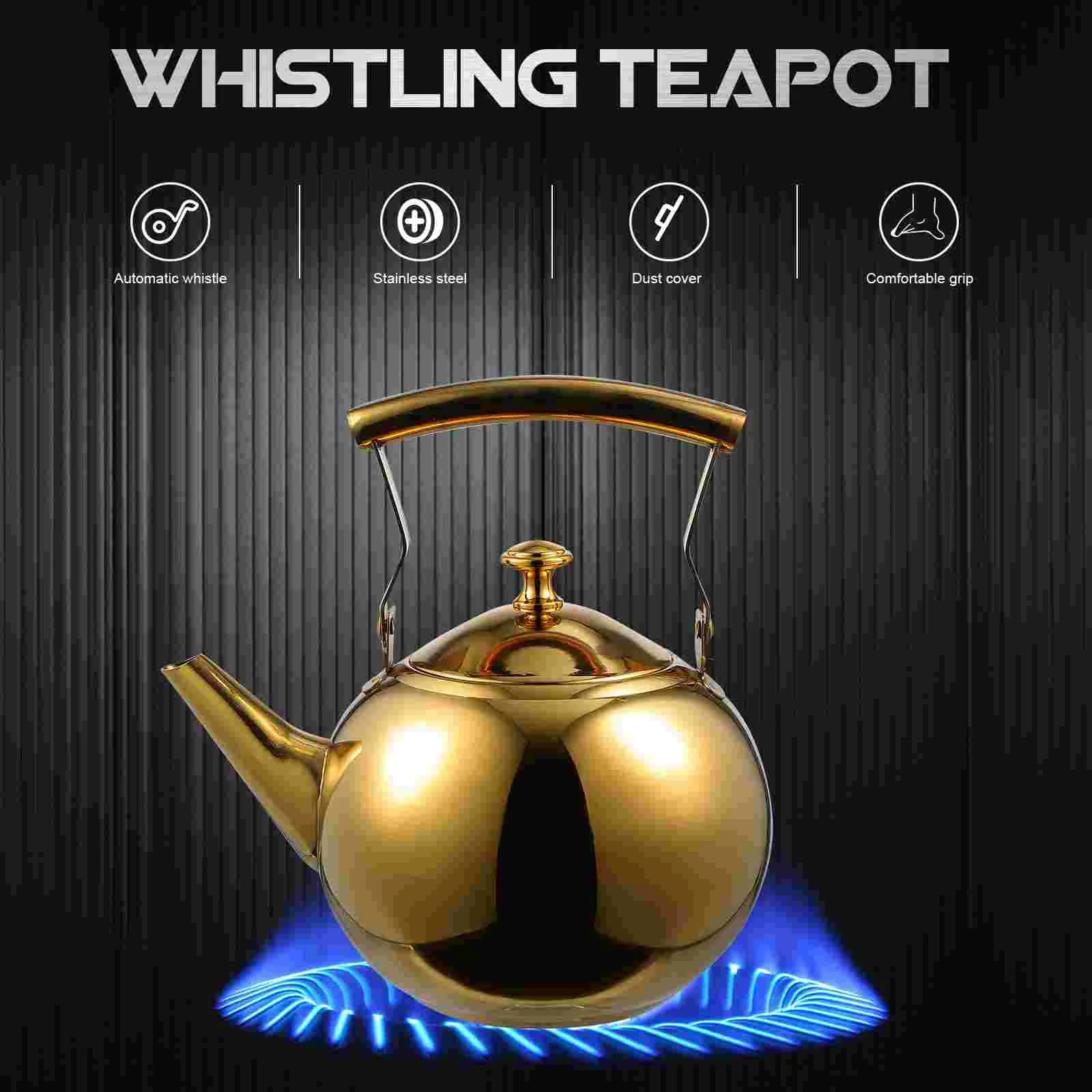 Whistling Tea Kettle with Filter Stainless Steel Stovetop Tea Pot Water Kettle Boiler Boiling Teapot Tea Kettle for Indoor