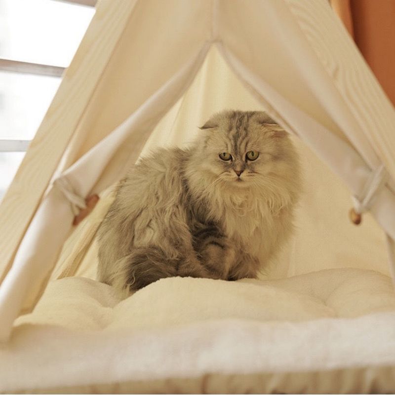 Fashion Foldable Cat House Pet Teepee Dog Puppy Cat Bed House Portable Pet Tents