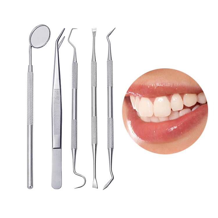 High Quality Custom Dental Hygiene Kit Dental Scraper Dental Tool Set for Teeth cleaning