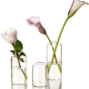 NISEVEN 3pcs/Set Modern Cylinder Glass Vase for Wedding Room Decor Clear Hand Blown Small Flower Vase Glass Bud Vases