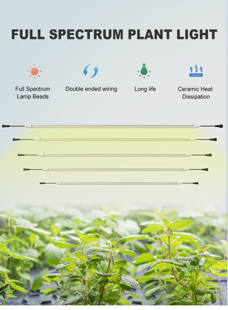 Full Spectrum LED Clone Tube High PPF Customized LED Grow Light Tube for Indoor Hydroponics Vertical Farm Microgreens Nursery