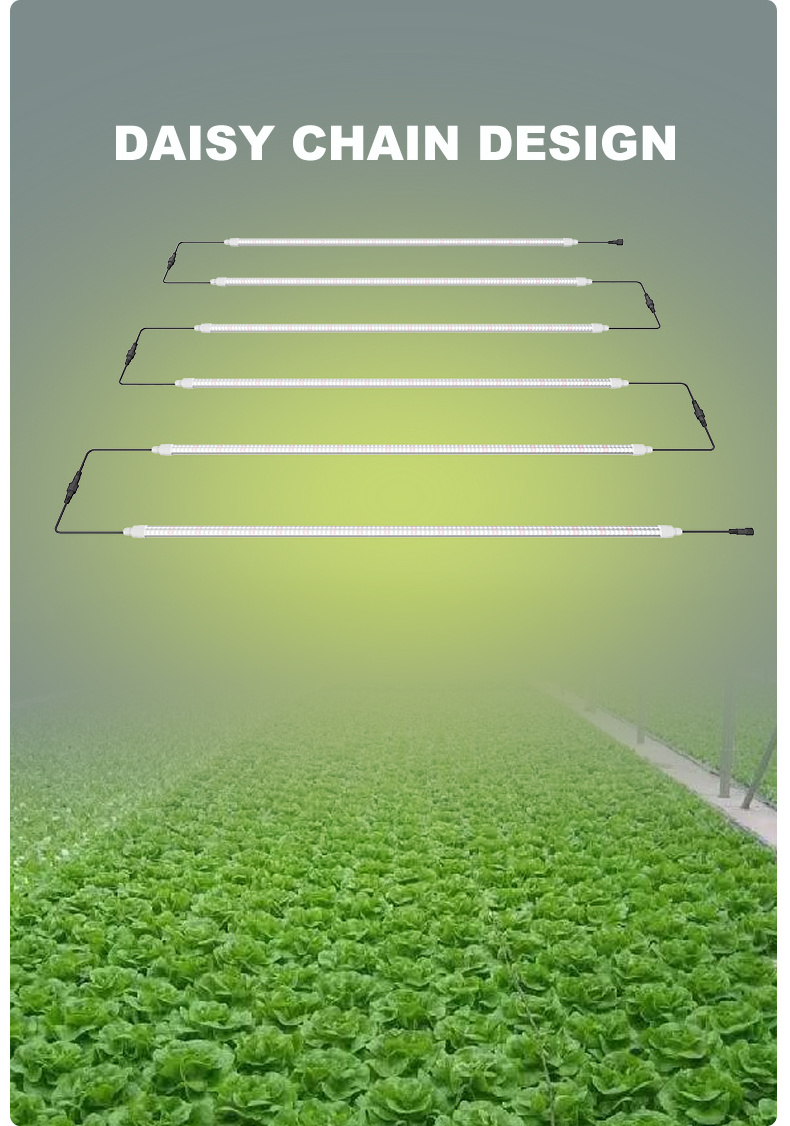 Manufacturer LED Clone Lamp Tube Waterproof IP65 LED Grow Light T8 for Indoor Hydroponics Vertical Farming Microgreens Nursery