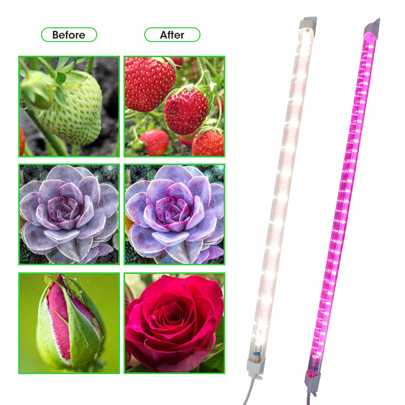 Best Price T4 LED Grow Light Tube 220V Horticultural Lamp for Growing Plants Vegetables Fruits in Home Office grow light tubes