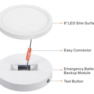 ETL Smart Emergency Battery Slim LED Ceiling Light 200MM Dimmable Lighting 2 Hours Emergency Time 10W 12W 15W Power Selectable