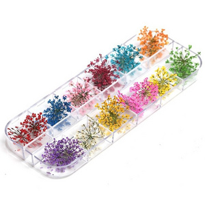 1 Box 24pcs Dried Flowers for Nail Art 12 Colors Dry Flowers Mini Real Natural Flower Nail 3D Applique Nail Decoration Sticker