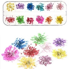 1 Box 24pcs Dried Flowers for Nail Art 12 Colors Dry Flowers Mini Real Natural Flower Nail 3D Applique Nail Decoration Sticker