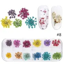 1 Box 24pcs Dried Flowers for Nail Art 12 Colors Dry Flowers Mini Real Natural Flower Nail 3D Applique Nail Decoration Sticker