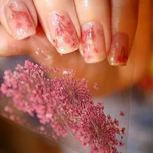 1 Box 24pcs Dried Flowers for Nail Art 12 Colors Dry Flowers Mini Real Natural Flower Nail 3D Applique Nail Decoration Sticker