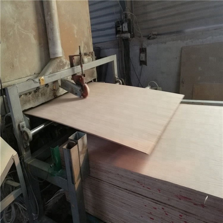 furniture backing board plywood/plywood standard size philippines/4x8 wood veneer ordinary plywood