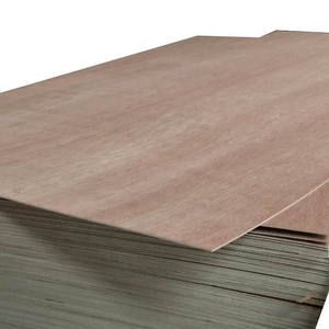 Bendable flexible plywood 3mm 4mm bintangor plywood marine grade