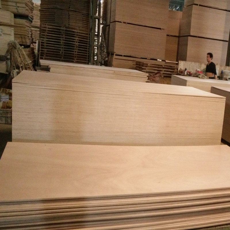 Okoume plywood 5x12 feet, 5x10 feet /Commercial Plywood extra long