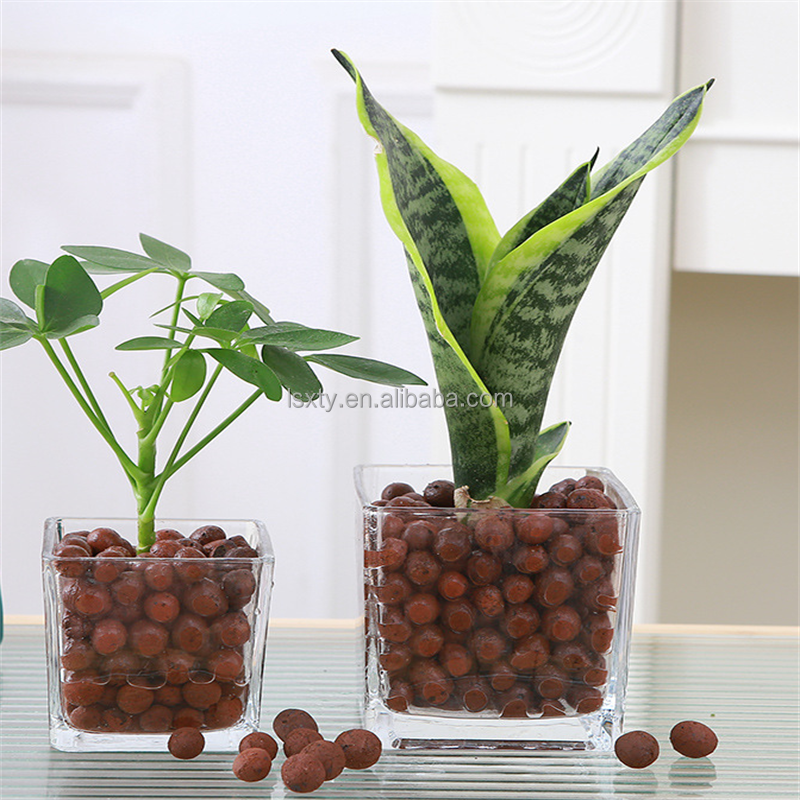 Soilless Culture ceramic ball clay balls hydroponics for plants price seed garden terracotta aquaponic clay balls pebbles