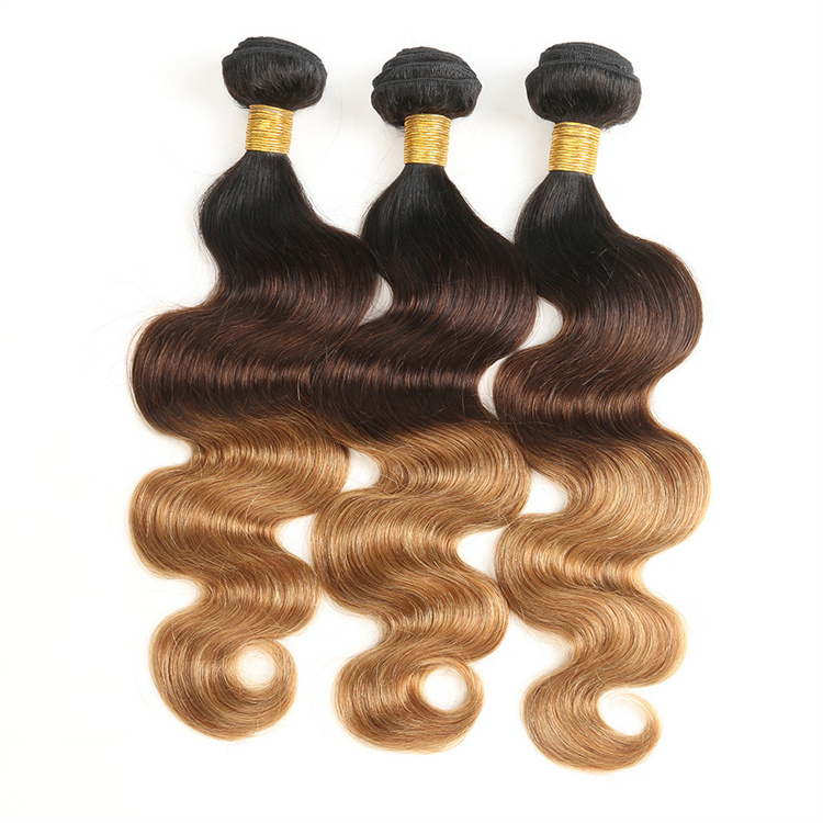 Ombre human hair bundles with closures wholesale price double drawn body wave Brazilian human hair weaves natural virgin hair