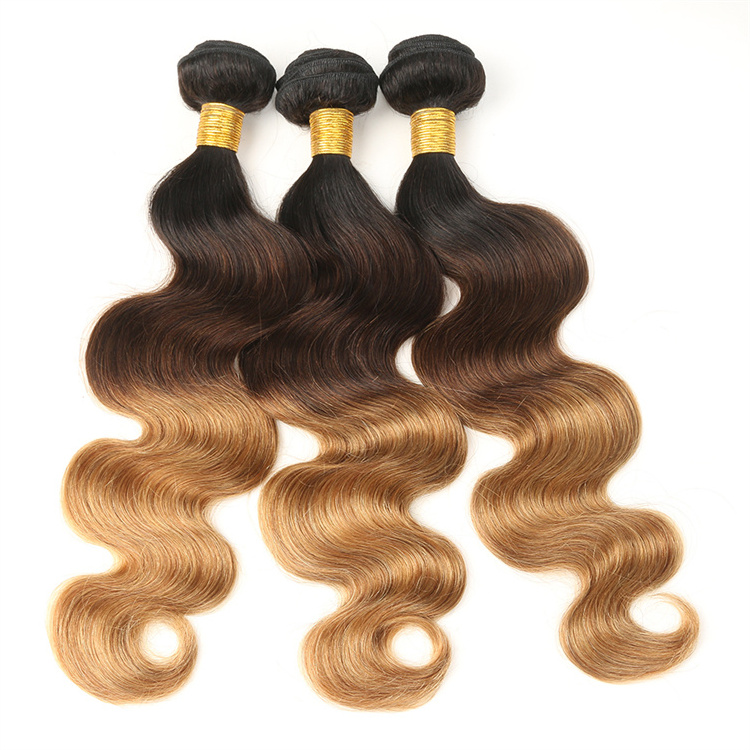 Ombre human hair bundles with closures wholesale price double drawn body wave Brazilian human hair weaves natural virgin hair