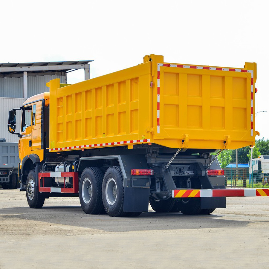 New 10 Tires Howo Tx Diesel Engine Howo Dump Truck 6x4