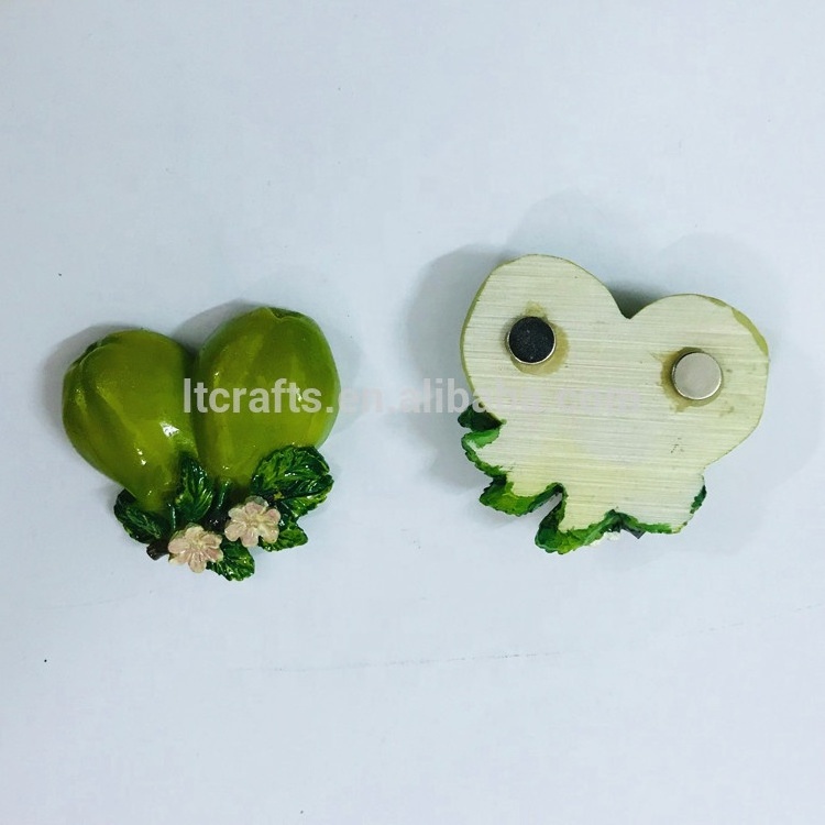 resin fruit fridge magnet type personalized refrigerator magnets