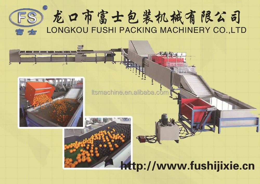 Fushi Brand Tomato and onion grading/ sorting machine , fruit washing and waxing machine