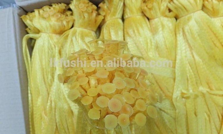 PE/PP fruit net bag making machine , polypropylene knotless net bag making machine