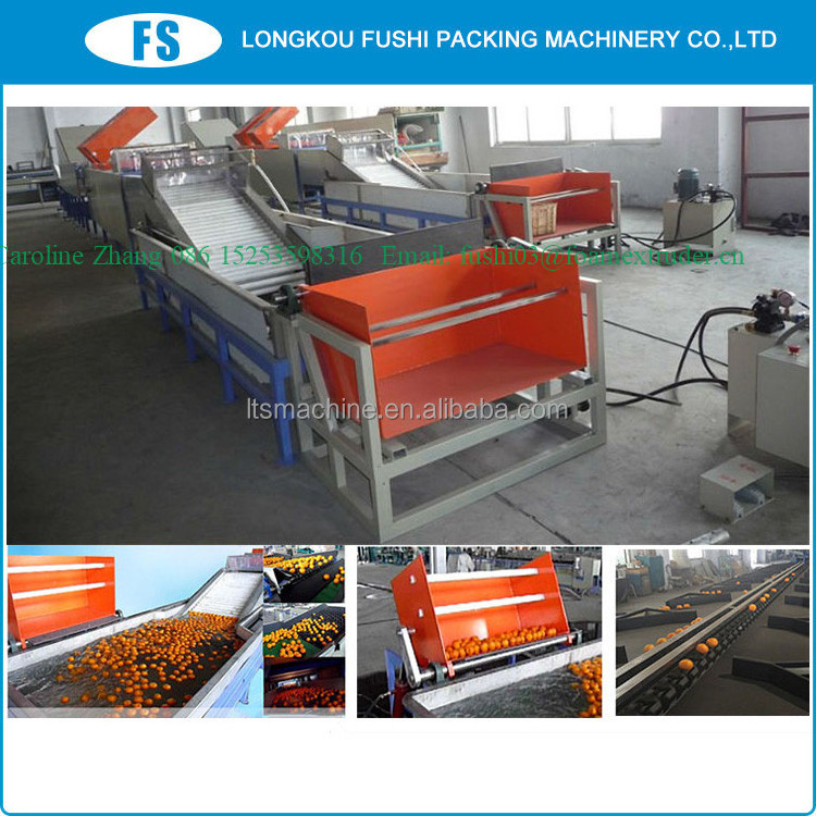 Fushi Brand Tomato and onion grading/ sorting machine , fruit washing and waxing machine