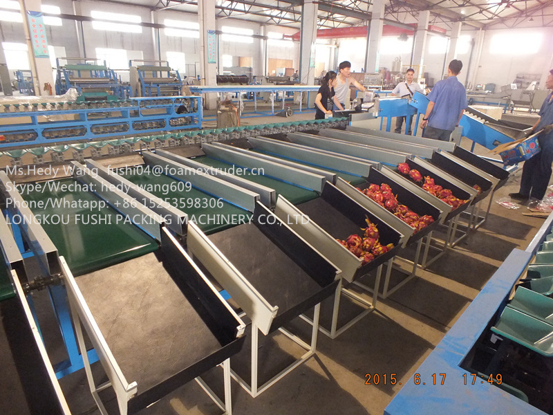 TOP SALES FACTORY OUTLET TOMATO GRADING MACHINE/FRUIT SORTER