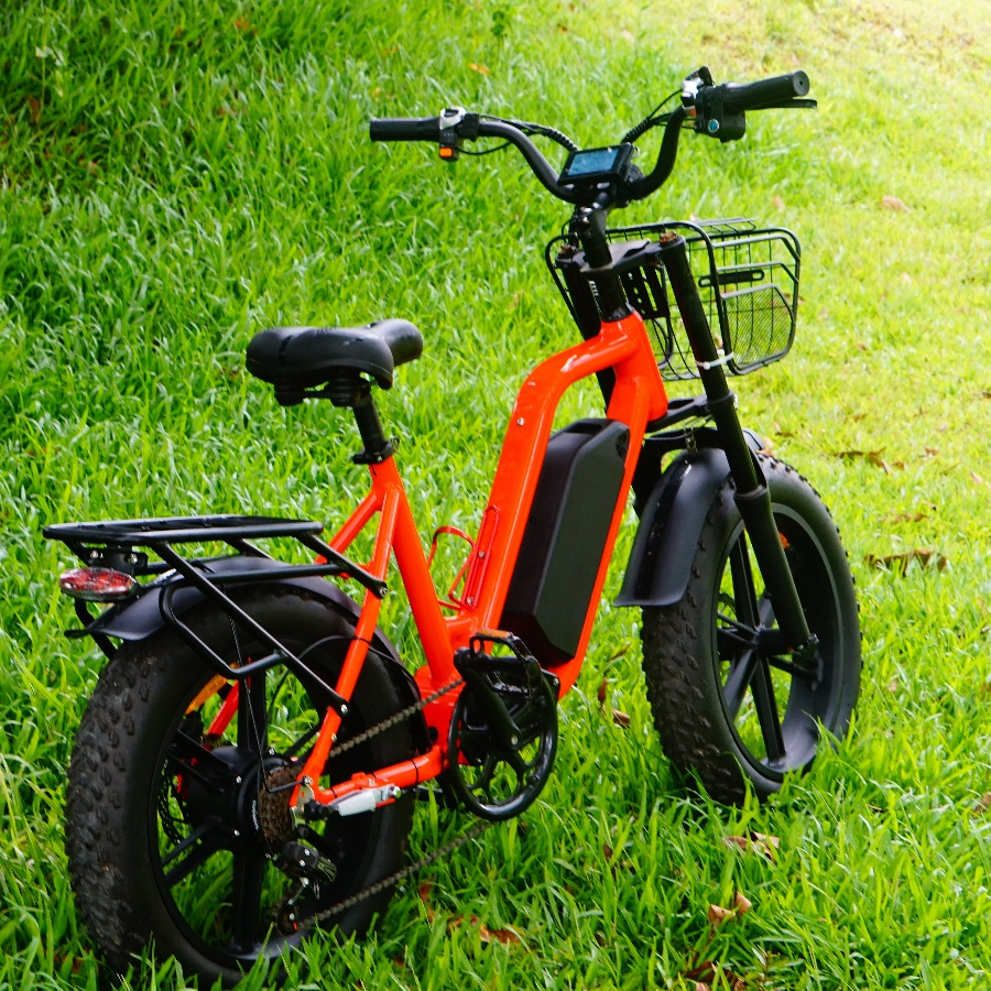 Yolin Electric Bike 1000W Motor, City Commuter Electric Bike, Range 60-70 Km City Cruiser Ebike