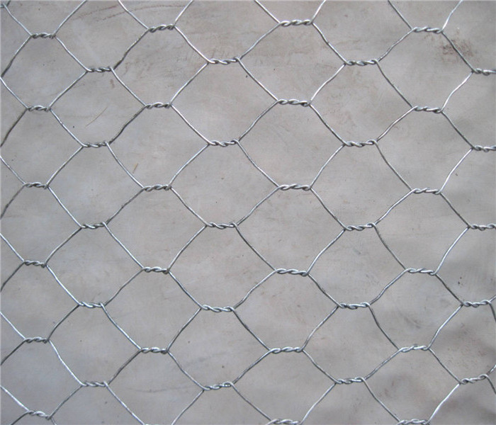 China Anping cheap price hexagonal chicken coop wire netting for protect mesh