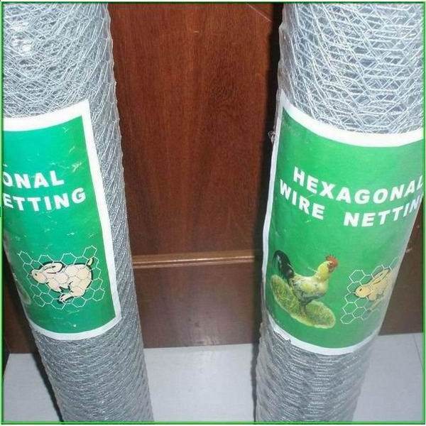 China Anping cheap price hexagonal chicken coop wire netting for protect mesh