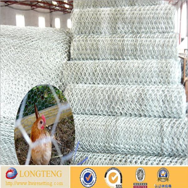 poultry farms fence/hexagonal wire netting/chicken wire mesh