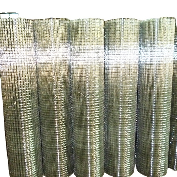 1x1 Hot-Dipped Galvanized Welded Wire Mesh Used For Fence Mesh/GI Welded Mesh