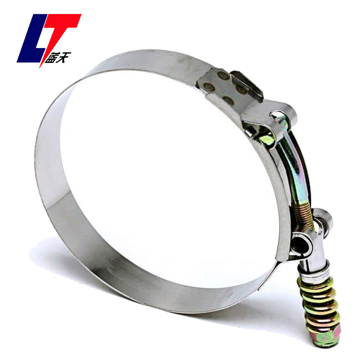 High Quality 19mm W2 T Bolt Heavy Duty Spring Clamp For Truck