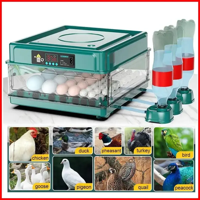 9/15 eggs EU plug Eggs Incubator With Drawer Type  Automatic Water Ionic Waterbed Replenishment And Temperature Controller