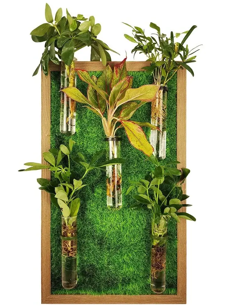 Wall hanging test tube frame planter indoor DIY wall planter for propagation and cut flowers